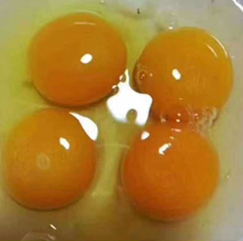 365fe5d2d1b0f980b78eddfaaffde00.png