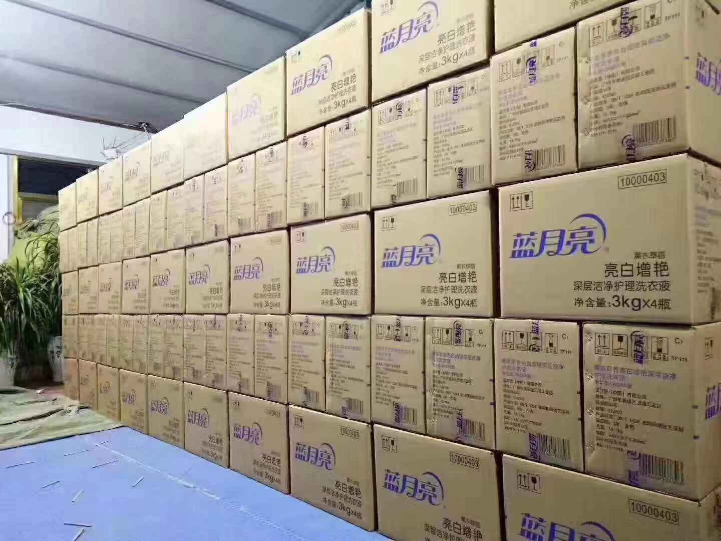 172c0c22e783672bd9ef8efafa4da34.jpg