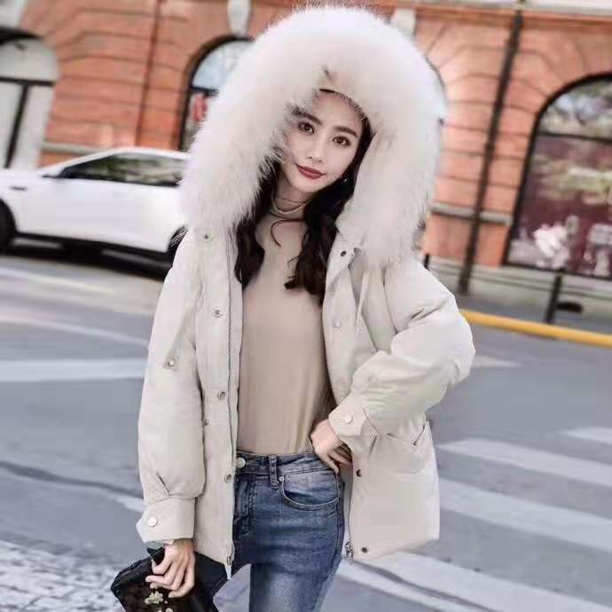 404b2bafdd57bd9a535ec748bf341c9.jpg